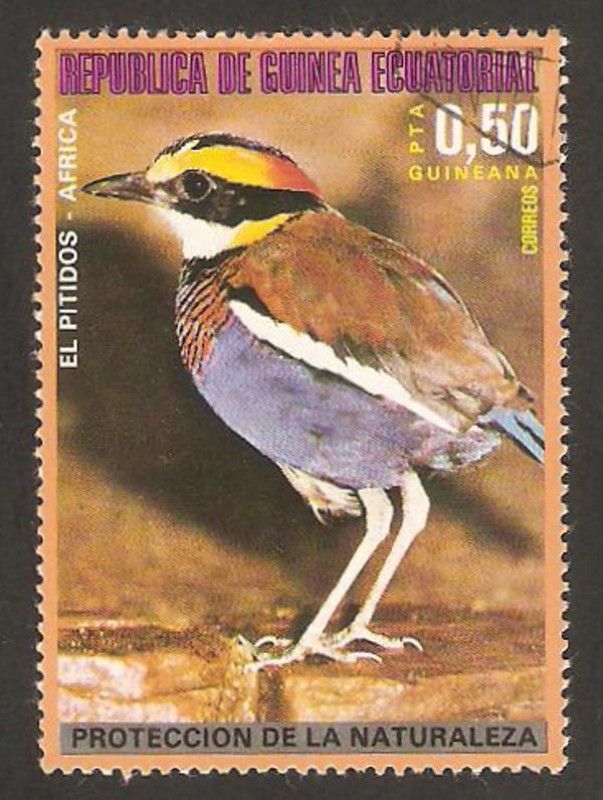 fauna, el pitidos