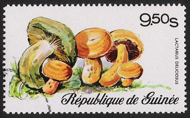 SETAS-HONGOS: 1.160.004,01-Lactarius deliciosus -Phil.183802-Dm.977.4-Y&T.579-Mch.762-Sc.727