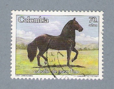 Caballo de paso fino