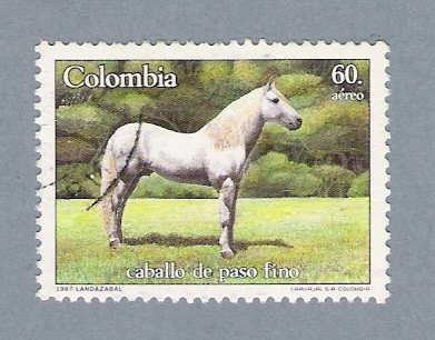 Caballo de paso fino