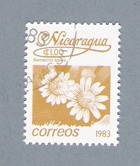 Flor