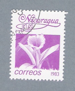Flor