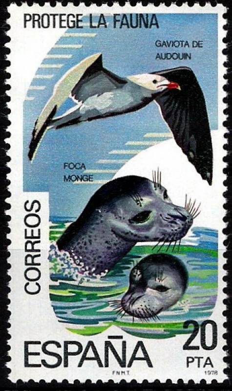 2473 Protección de la Naturaleza. Fauna marina.