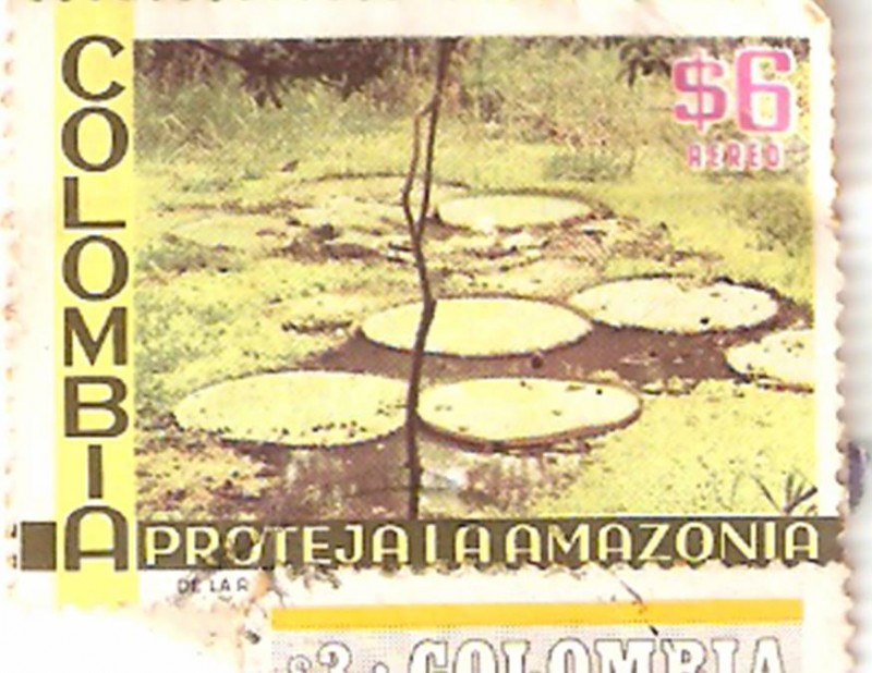 PROTEJE LA AMAZONIA