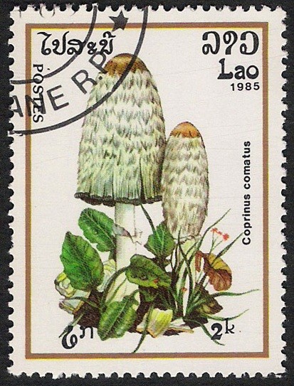 SETAS-HONGOS: 1.174.003,04-Coprinus comatus -Phil.49788-Dm.985.31-Y&T.635-Mch.830-Sc.629