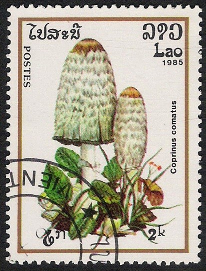 SETAS-HONGOS: 1.174.003,02-Coprinus comatus -Phil.49788-Dm.985.31-Y&T.635-Mch.830-Sc.629