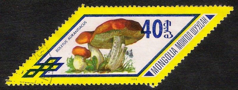 SETAS-HONGOS: 1.192.013,01-Boletus aurantiacus -Phil.48104-Dm.978.10-Y&T.953-Mch.1135-Sc.1006