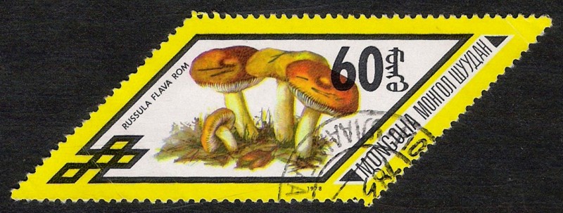 SETAS-HONGOS: 1.192.015,02-Russula flava -Phil.48106-Dm.978.12-Y&T.955-Mch.1137-Sc.1008