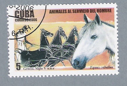 Animales al servicio del Hombre