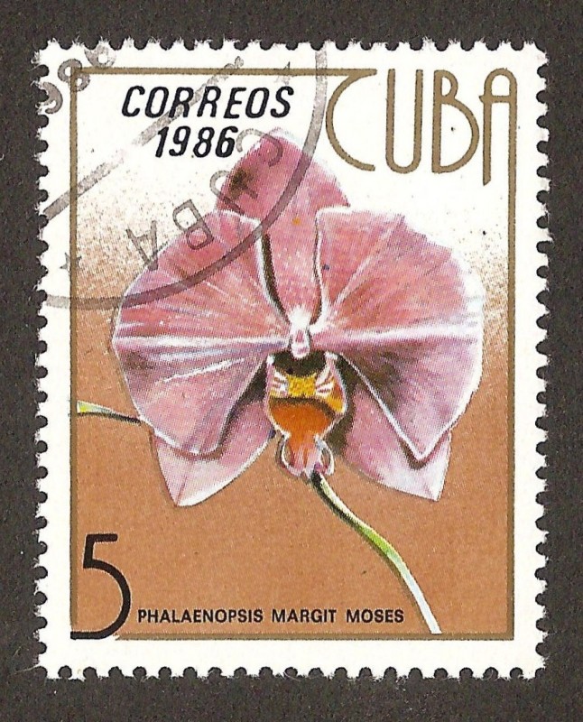 orquídeas