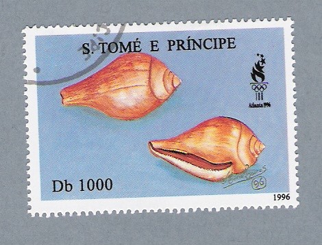 Conchas