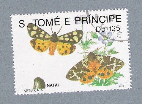 Mariposas Artia Caja