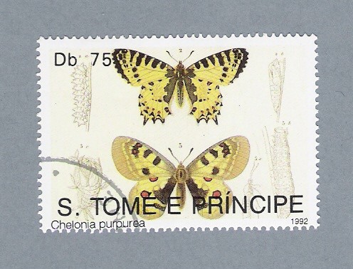 Mariposas Chelonia Purpurea