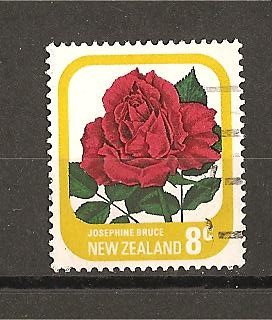 Rosas de Nueva Zelanda./Josephine Bruce.
