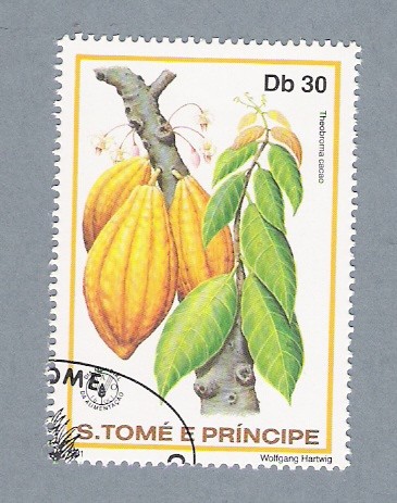 Theobroma Cacao