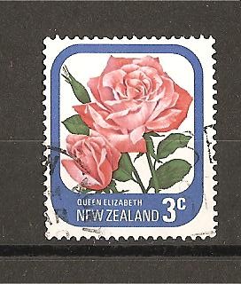 Rosas de Nueva Zelanda./ Queen Elizabeth.
