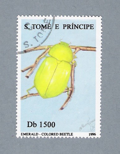 Emerald Colored Beetle