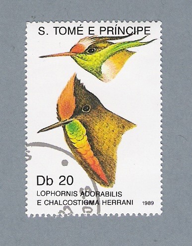 Lophornis Adorabilis