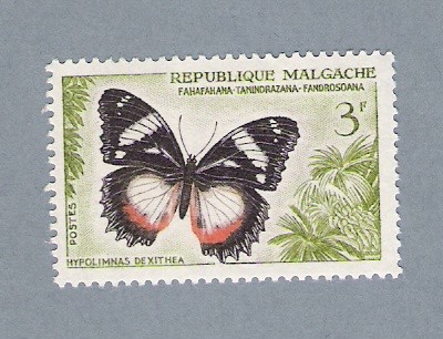 Mariposa