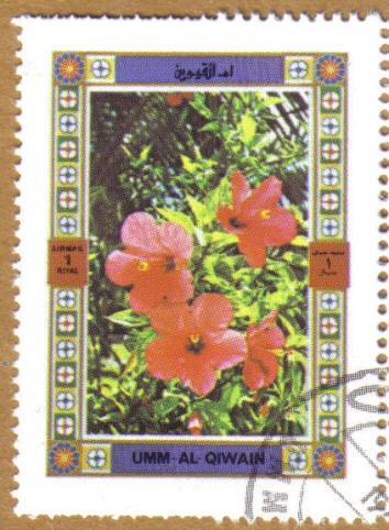 Flores