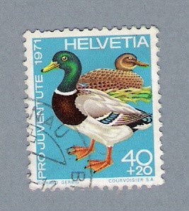 Patos