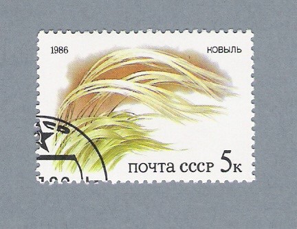 Flora