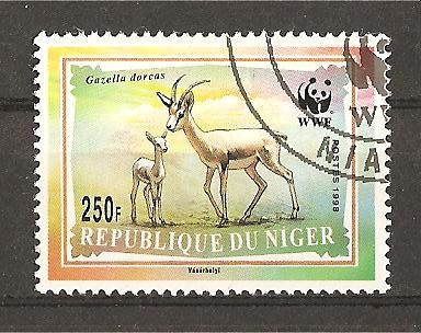 Antilopes