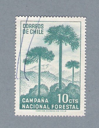Ccampaña Nacional Forestal (repetido)