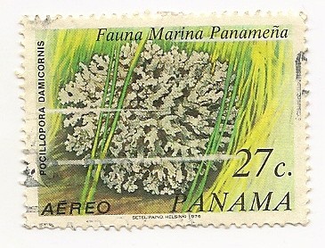 Fauna Marina Panameña