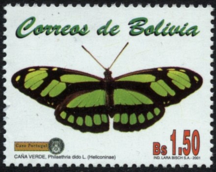 Serie - mariposas