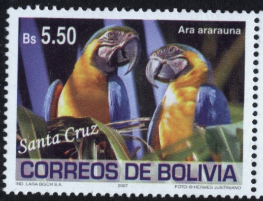 Aves de Bolivia - Santa Cruz