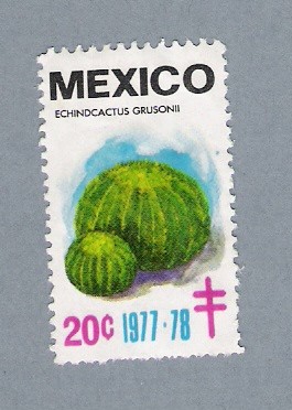 Echindcactus Grusoni