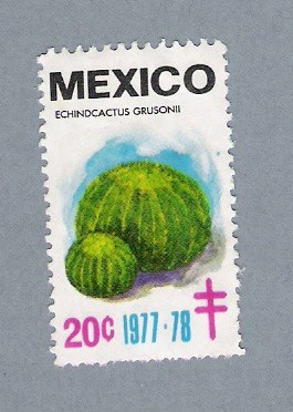 Echindcactus Grusoni