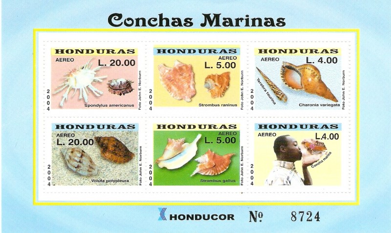 CONCHAS  MARINAS