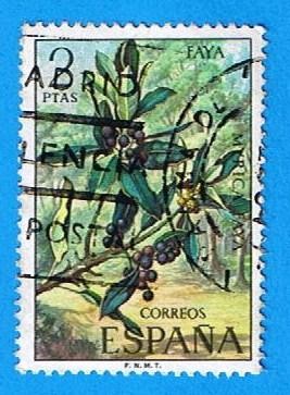 Faya