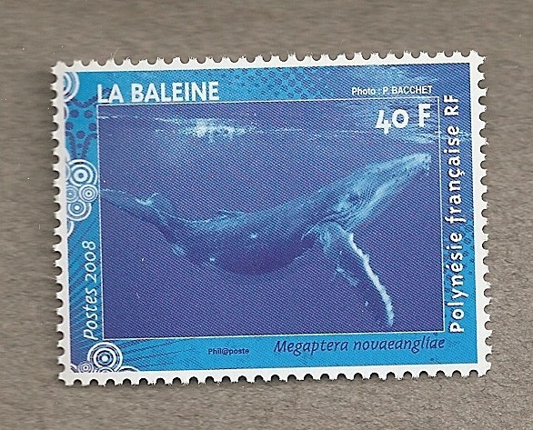 Ballena