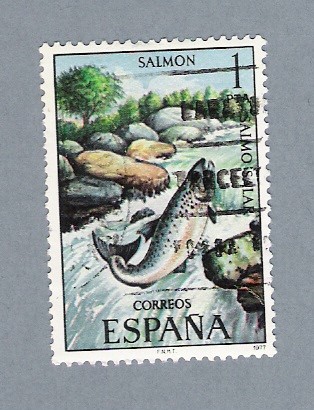 Salmón (repetido)