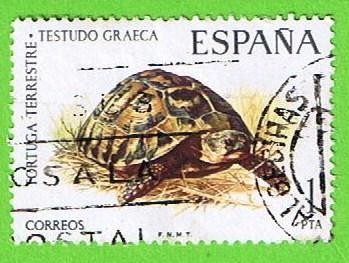 Fauna Hipanica (Tortuga terrestre)