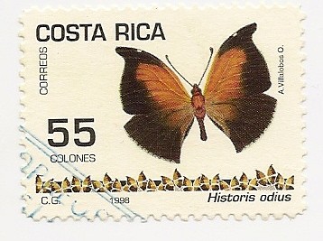 Mariposa