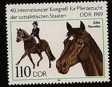 40 Congreso Internacional cria de caballos de Estados Socialistas