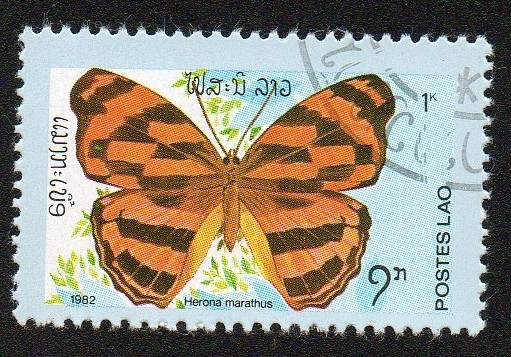 Mariposa