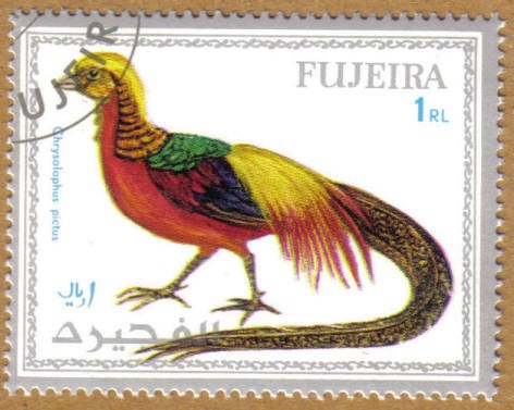FUJEIRA, Aves