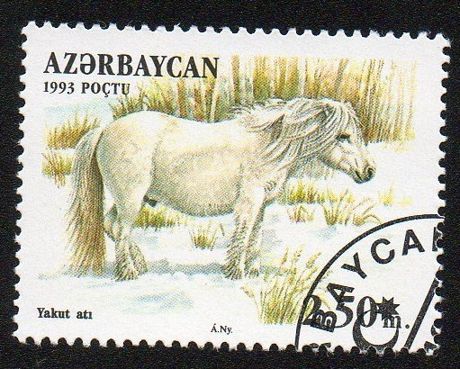 Razas de caballo-Yakut