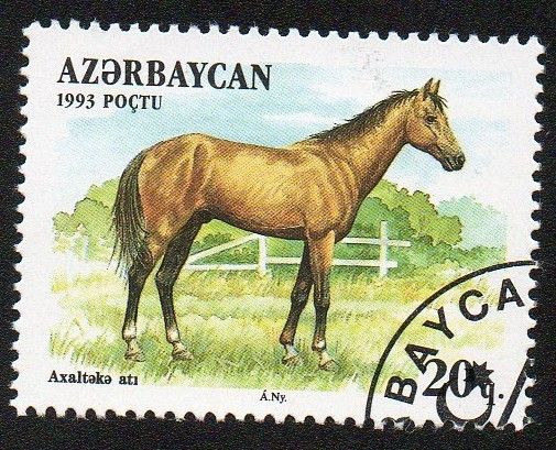 Razas de caballo-Akhalteka