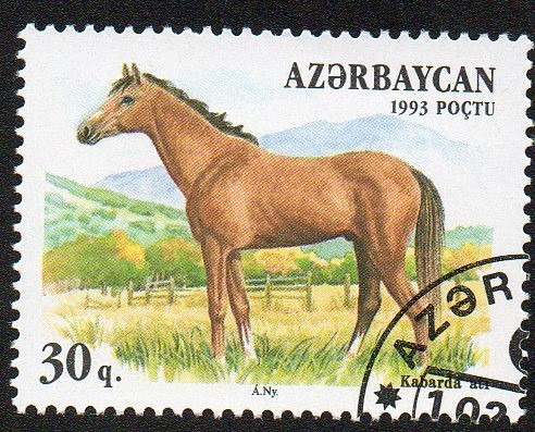 Razas de caballo-Kabarda