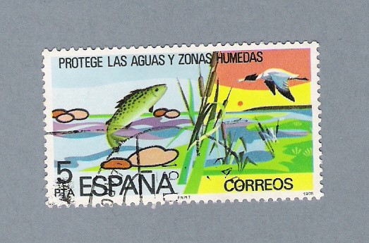 Protege las aguas y las zonas humedas (repetido)