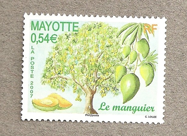 Mango