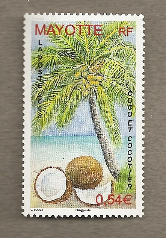 Cocos y cocotero