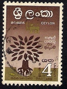 Ceylon