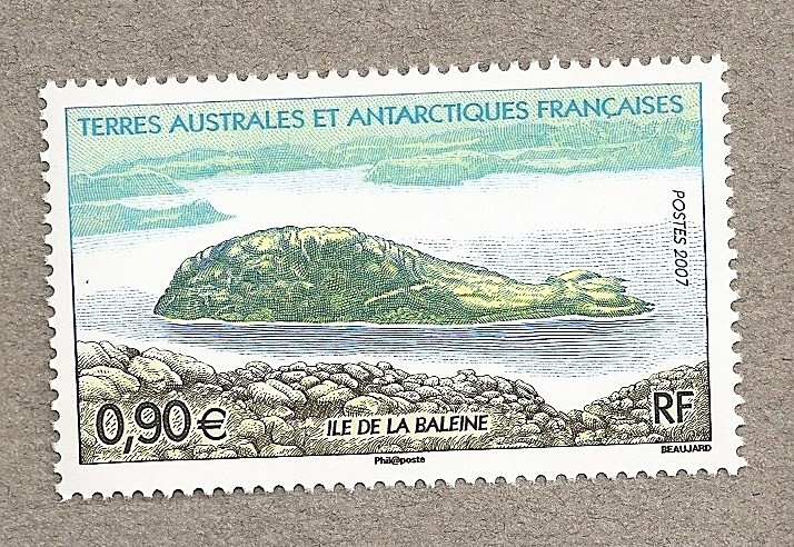 Isla de la ballena